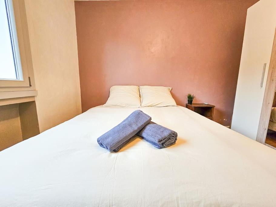 Le Bergson 3 Chambres Stationnement Gratuit Saint-Etienne  Dış mekan fotoğraf