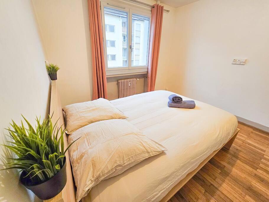 Le Bergson 3 Chambres Stationnement Gratuit Saint-Etienne  Dış mekan fotoğraf