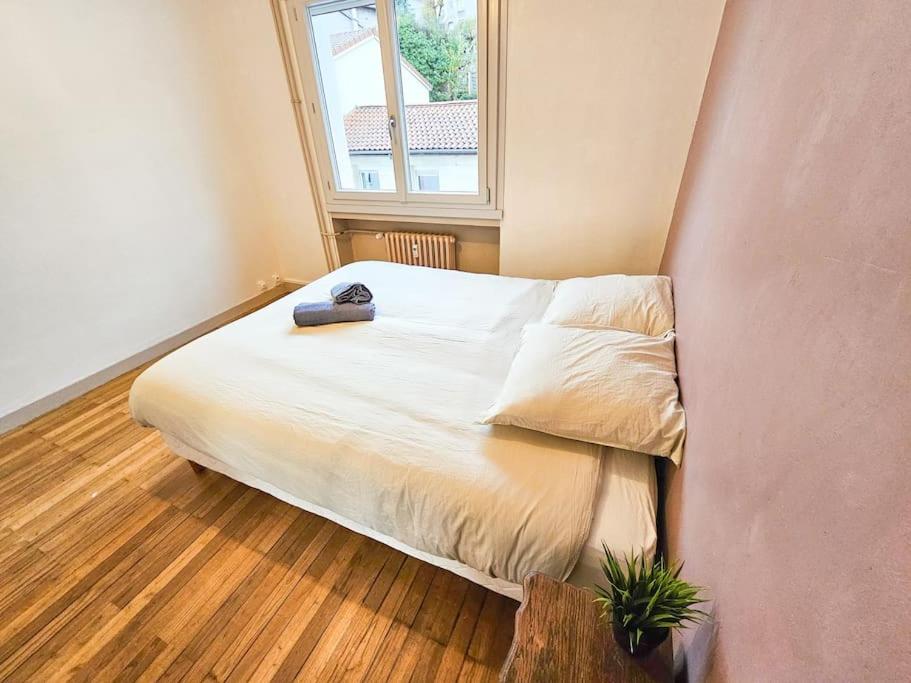 Le Bergson 3 Chambres Stationnement Gratuit Saint-Etienne  Dış mekan fotoğraf