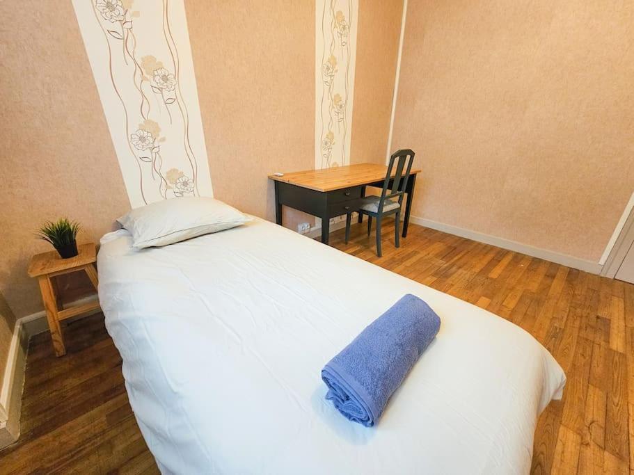 Le Bergson 3 Chambres Stationnement Gratuit Saint-Etienne  Dış mekan fotoğraf